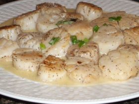 Saint-Jacques au Champagne sur Fondue de Poireau : Une Entrée Raffinée pour les Fêtes